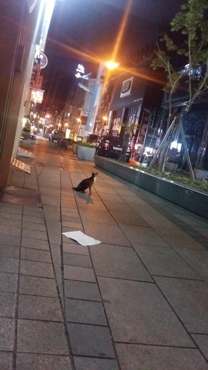 아재의 부산 여행기 Take4 [송도광안리해운대] 사랑은 쥬디스 태화에서 만나, | 인스티즈