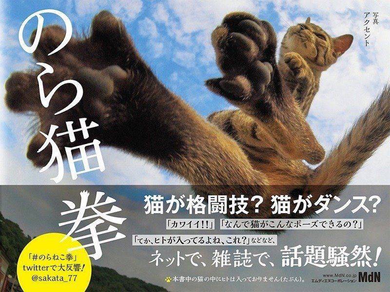 아마존에서 파는 냥아치 권법책 | 인스티즈