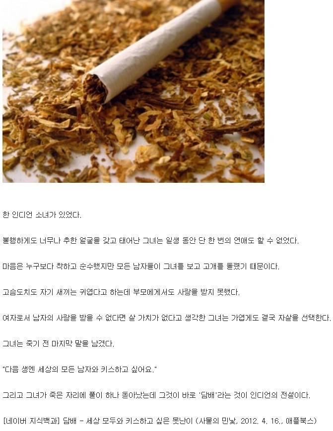 담배의 전설.jpg | 인스티즈