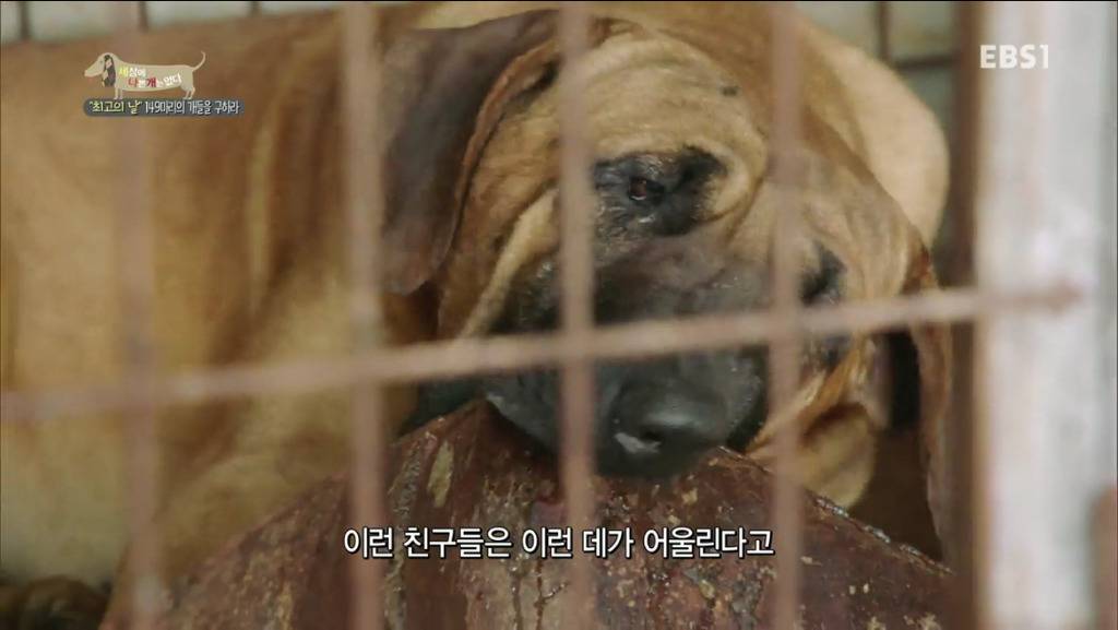 어떻게 그럴 수가 있을까요? 어떻게 사람을 그렇게 좋아할 수 있죠? | 인스티즈