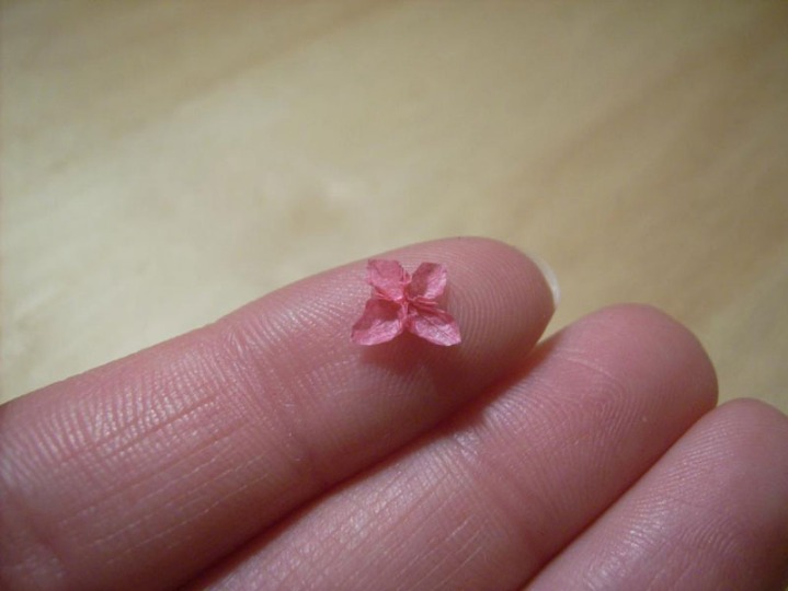 이쑤시개로 만든 종이접기.jpg | 인스티즈