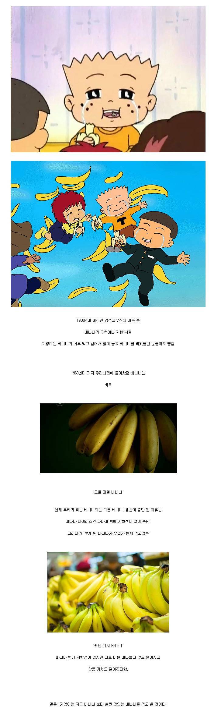 요즘 바나나가 맛이 없는 이유 | 인스티즈