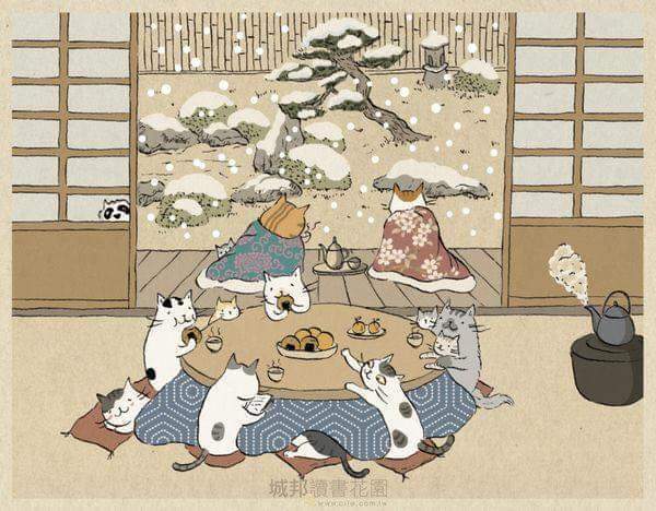 우리가 출근하면 냥이들은 뭐하고 있을까? | 인스티즈