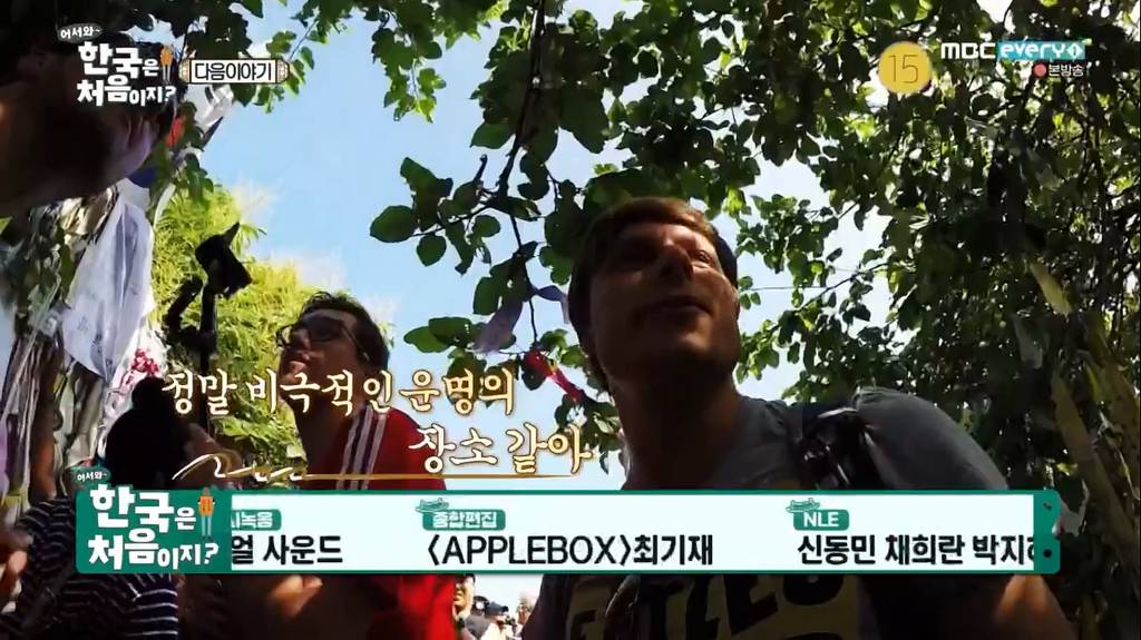 독일 친구들이 한국에 와서 간 관광지 | 인스티즈