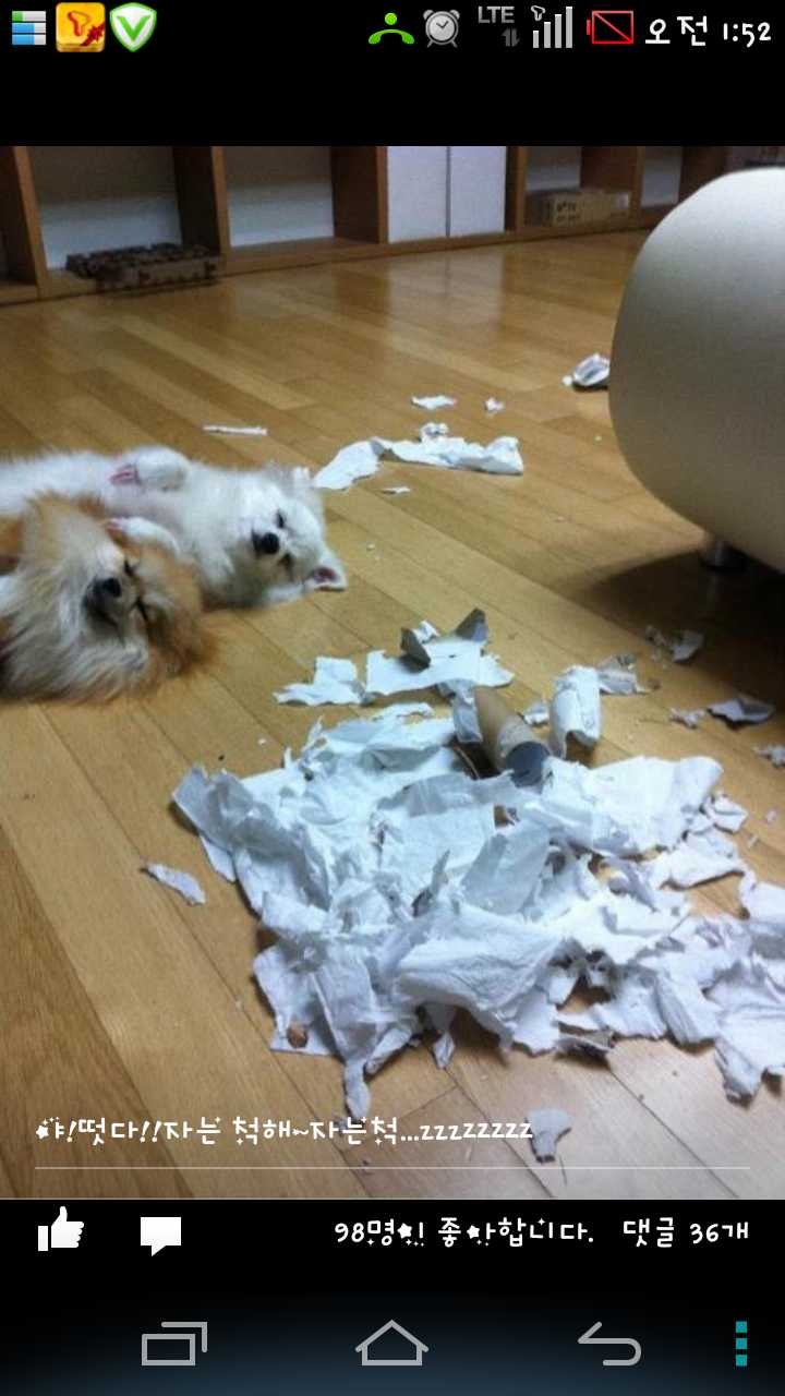 야 주인왔다!!!!! | 인스티즈