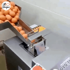 계란 분리기.gif | 인스티즈