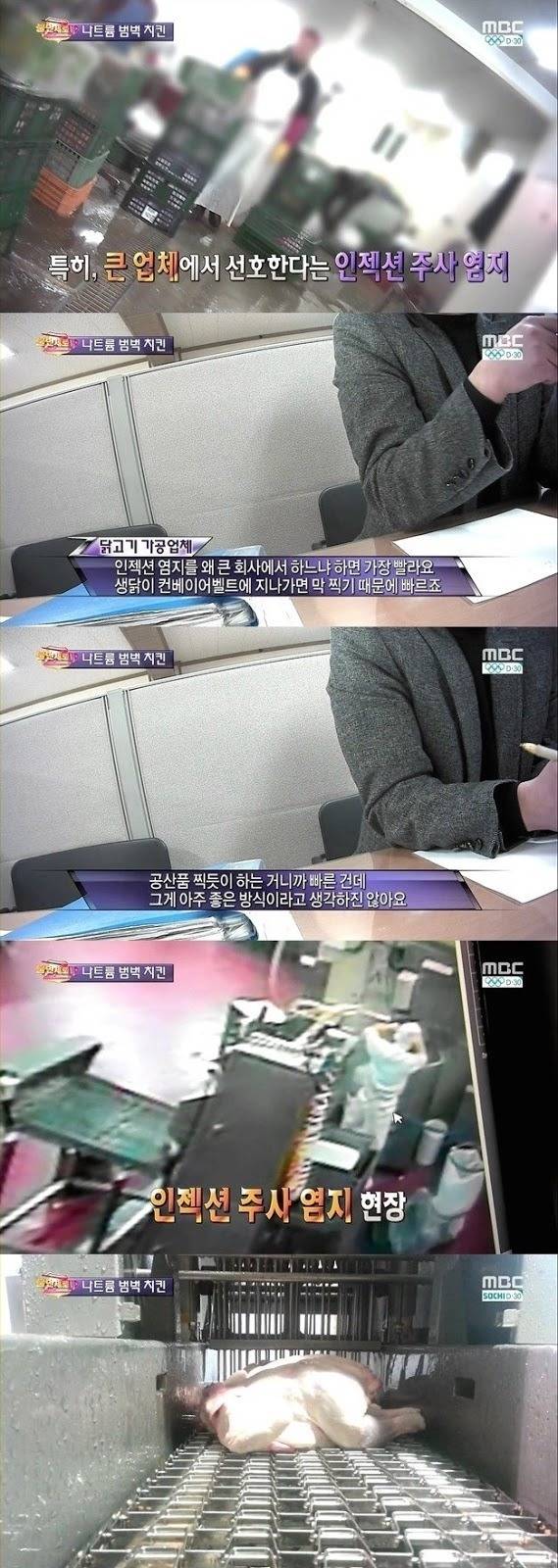 치킨 공화국의 추악한 진실 jpg.... | 인스티즈