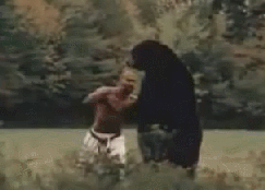 곰이랑 싸우면 안되는 이유 | 인스티즈