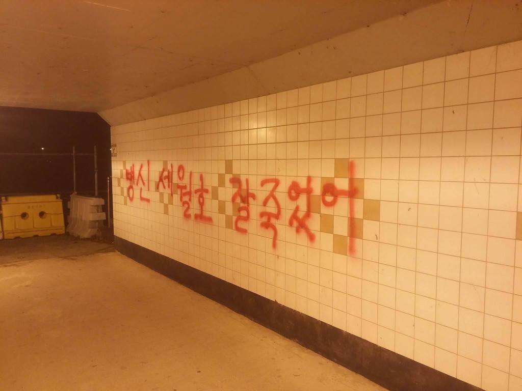 대구 지하도 상황.jpg (혐오주의) | 인스티즈