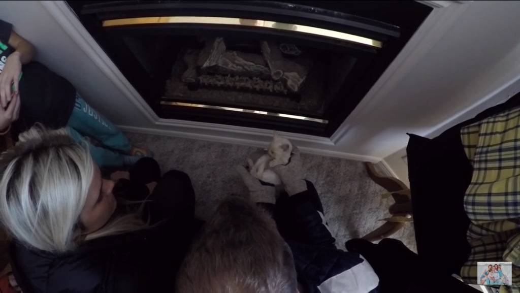 얼어서 죽어가는 아기고양이를 살린 가족 | 인스티즈