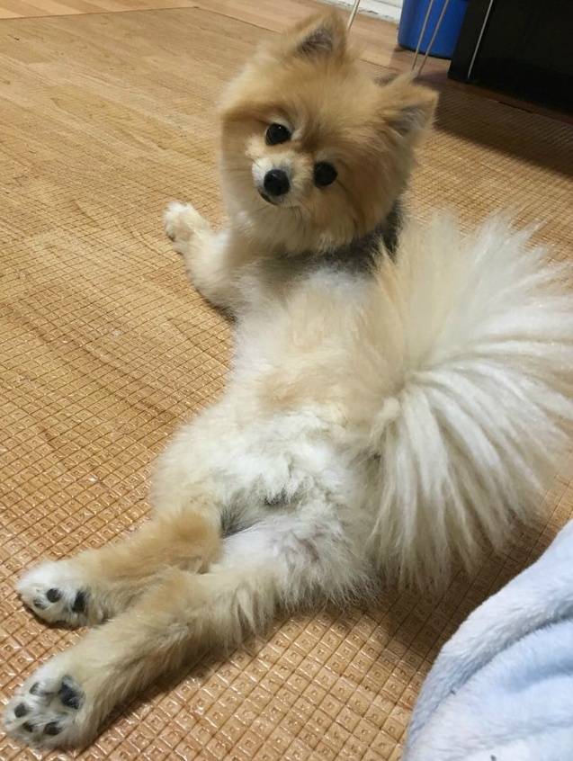 구리시/남양주시 사랑하는 동생을 잃어버렸습니다 한번만 눌러주세요 제발요.. | 인스티즈