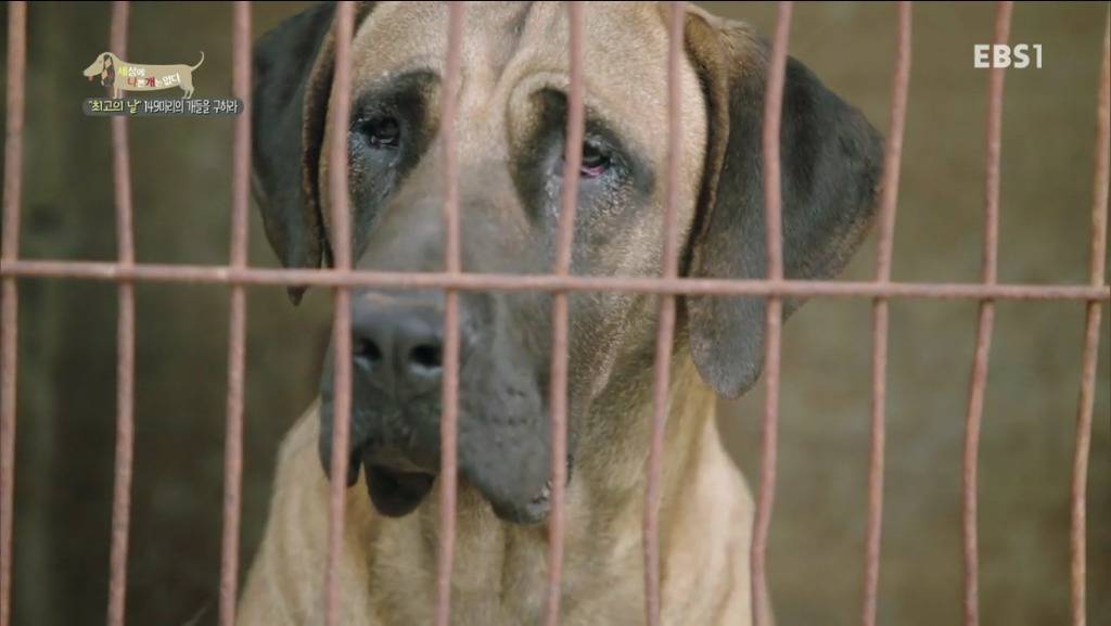 어떻게 그럴 수가 있을까요? 어떻게 사람을 그렇게 좋아할 수 있죠? | 인스티즈