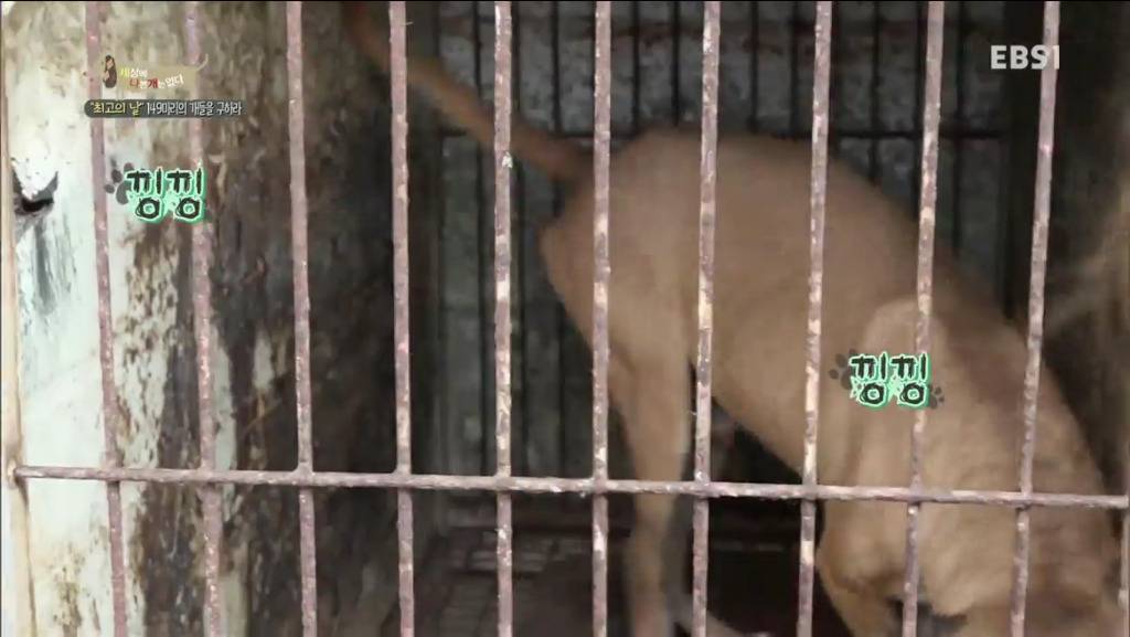 어떻게 그럴 수가 있을까요? 어떻게 사람을 그렇게 좋아할 수 있죠? | 인스티즈