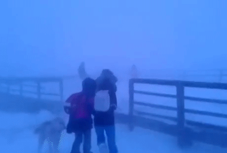 이맘때러시아 하굣길 | 인스티즈