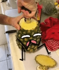 하지마 제발 시리즈 | 인스티즈