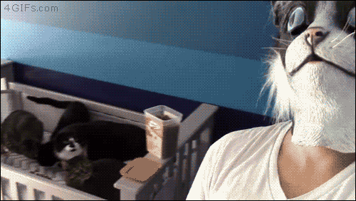 집사녀석의 장난 | 인스티즈