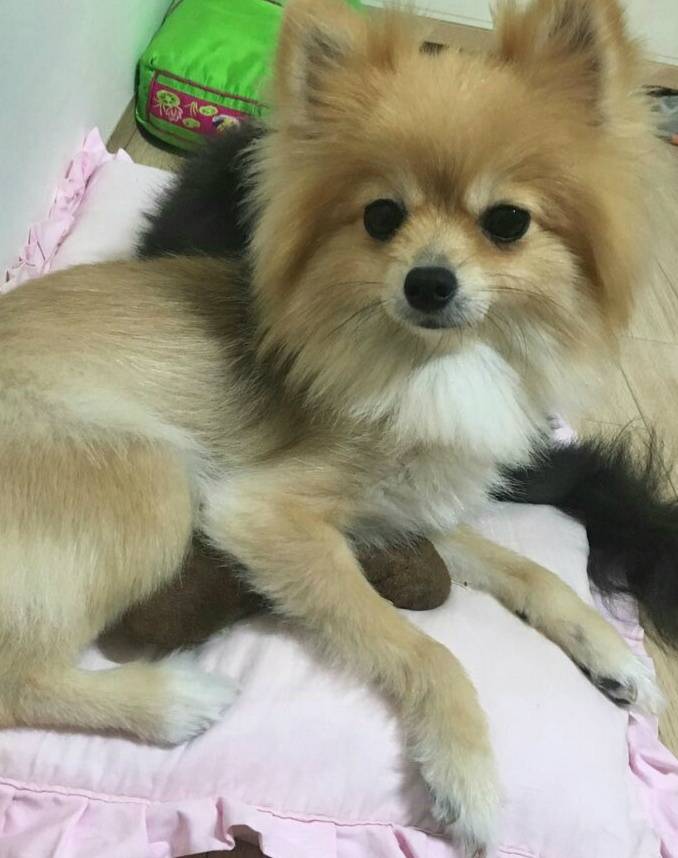 구리시/남양주시 사랑하는 동생을 잃어버렸습니다 한번만 눌러주세요 제발요.. | 인스티즈