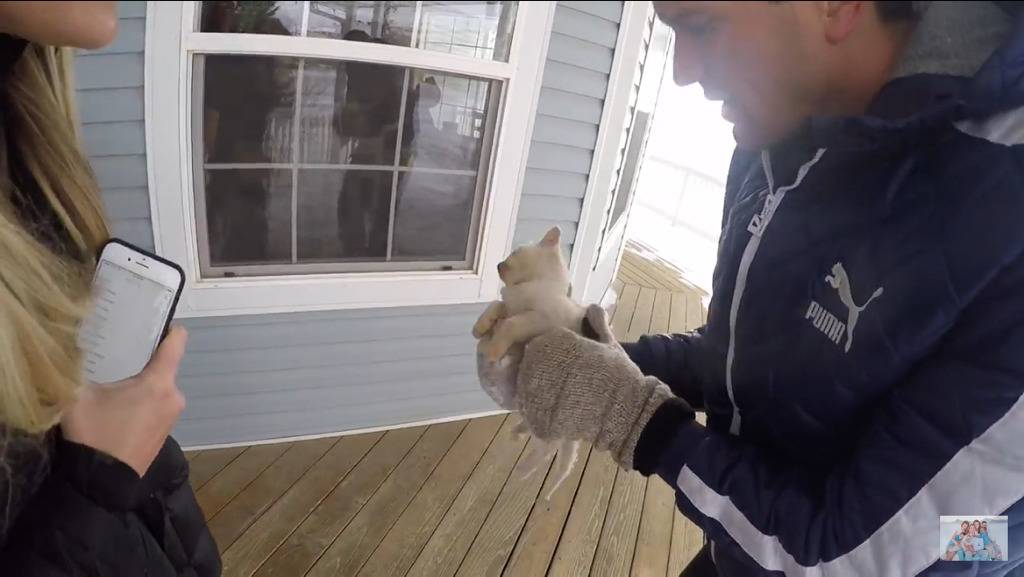 얼어서 죽어가는 아기고양이를 살린 가족 | 인스티즈