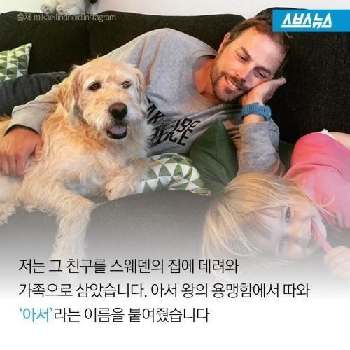 길에서 만난 친구 .jpg | 인스티즈