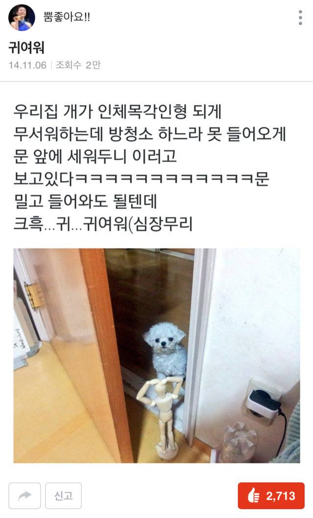 주인님 이것 좀 치워주세요 ㅠㅠ | 인스티즈