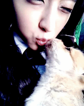 설현이 인스타 (강아지 부럽다) | 인스티즈