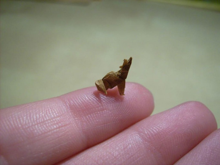 이쑤시개로 만든 종이접기.jpg | 인스티즈