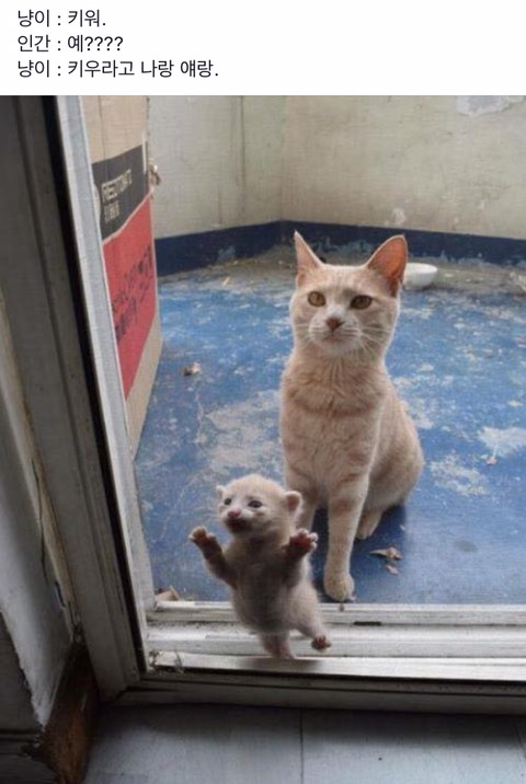 집사의 길.jpg | 인스티즈