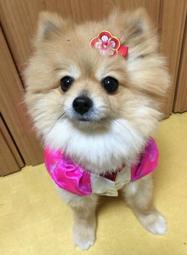 구리시/남양주시 사랑하는 동생을 잃어버렸습니다 한번만 눌러주세요 제발요.. | 인스티즈