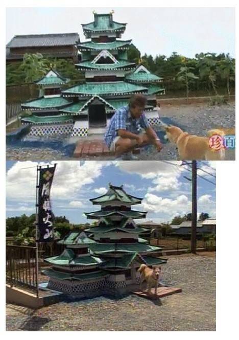 일본의 흔한 개집.jpg | 인스티즈