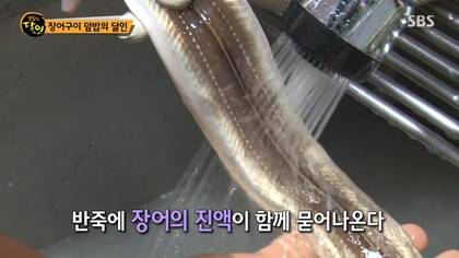 생활의달인 김해 장어덮밥.jpg | 인스티즈