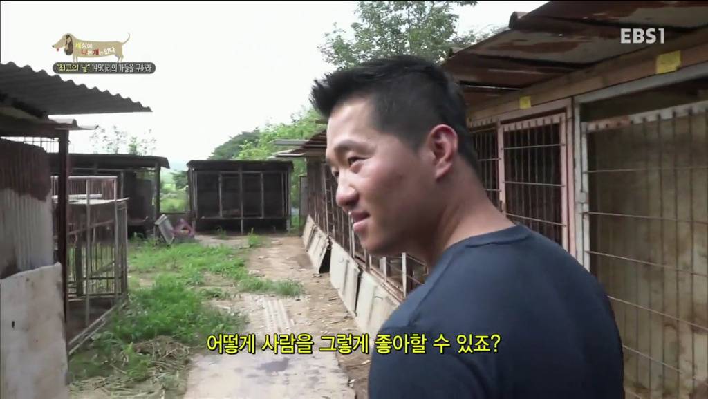 어떻게 그럴 수가 있을까요? 어떻게 사람을 그렇게 좋아할 수 있죠? | 인스티즈