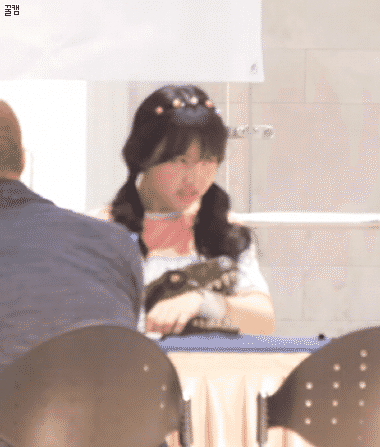 나연이라고 우기는 상큼한 토끼 | 인스티즈