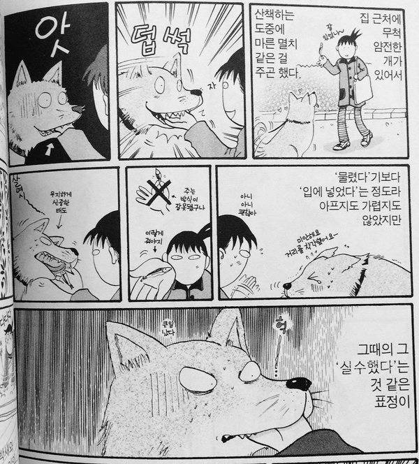 강아지 키울 때.jpg | 인스티즈