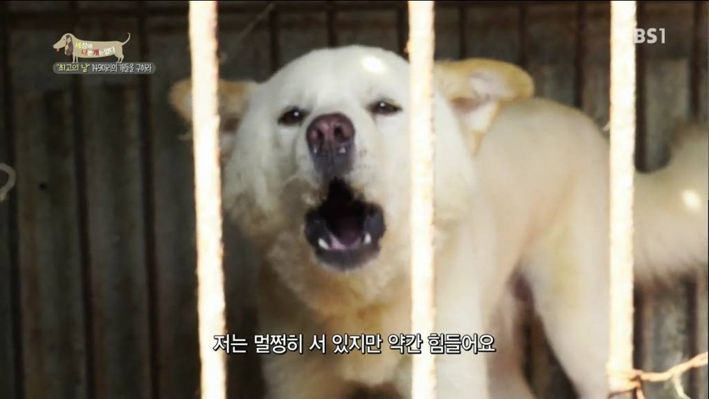 어떻게 그럴 수가 있을까요? 어떻게 사람을 그렇게 좋아할 수 있죠? | 인스티즈