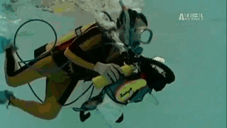 뭐하는 거냥 집사야.gif | 인스티즈