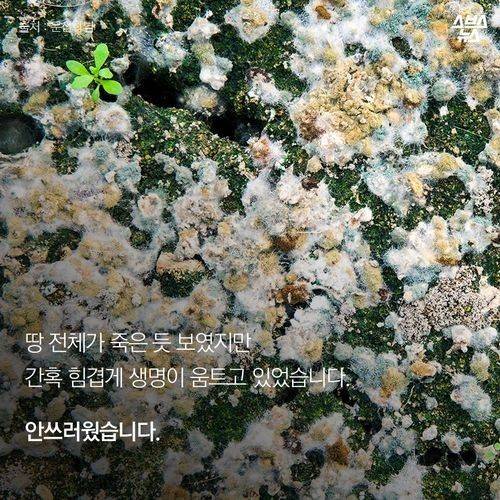 우리가 묻어버린 이야기 | 인스티즈