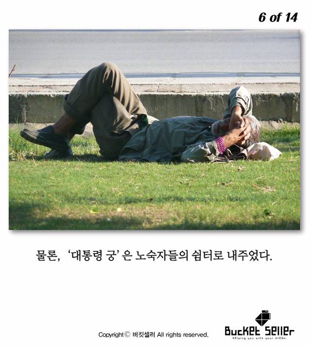 우린 발전하기 위해 태어난게 아닙니다. 우린 행복하기 위해 지구에 온 거예요 | 인스티즈