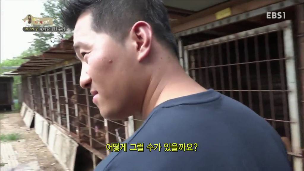 어떻게 그럴 수가 있을까요? 어떻게 사람을 그렇게 좋아할 수 있죠? | 인스티즈