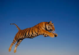 호? 불호? | 인스티즈