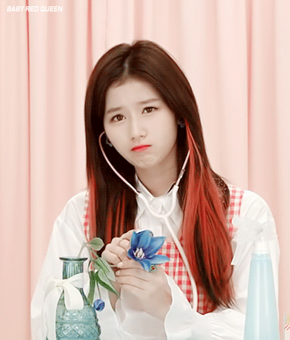 3 사나야 ㅋㅋㅋㅋㅋㅋㅋㅋㅋㅋㅋㅋㅋㅋ | 인스티즈