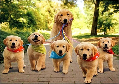 명절날만 되면 불안하고 초조한 사람들.jpg | 인스티즈