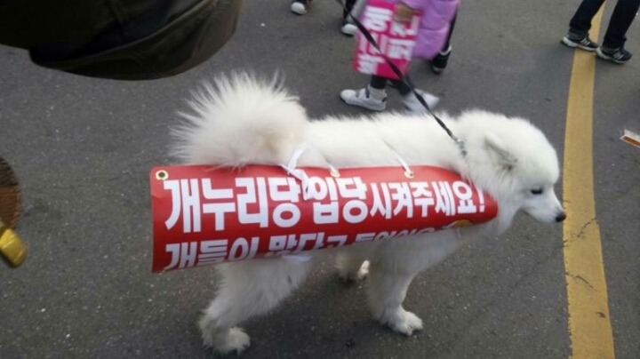 새누리당 입당신청.jpg | 인스티즈