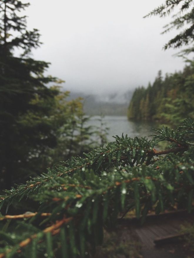 은근 많은 사람들이 좋아하는 냄새 | 인스티즈