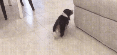 올라가다 쿵해쪄 | 인스티즈