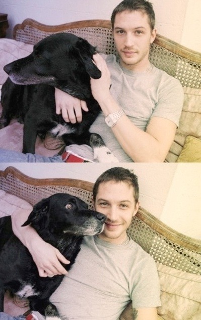 영국배우 vs 미국배우 vs 아일랜드배우 (안구정화) | 인스티즈