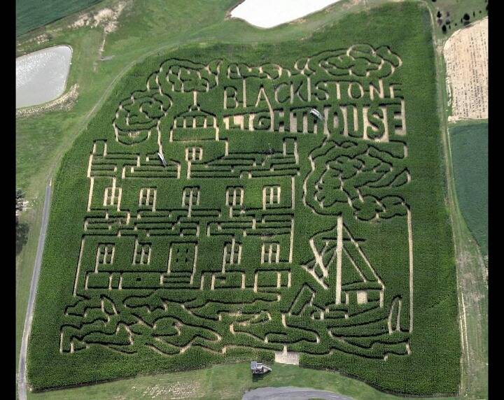 미국의 초대형 미로.JPG | 인스티즈