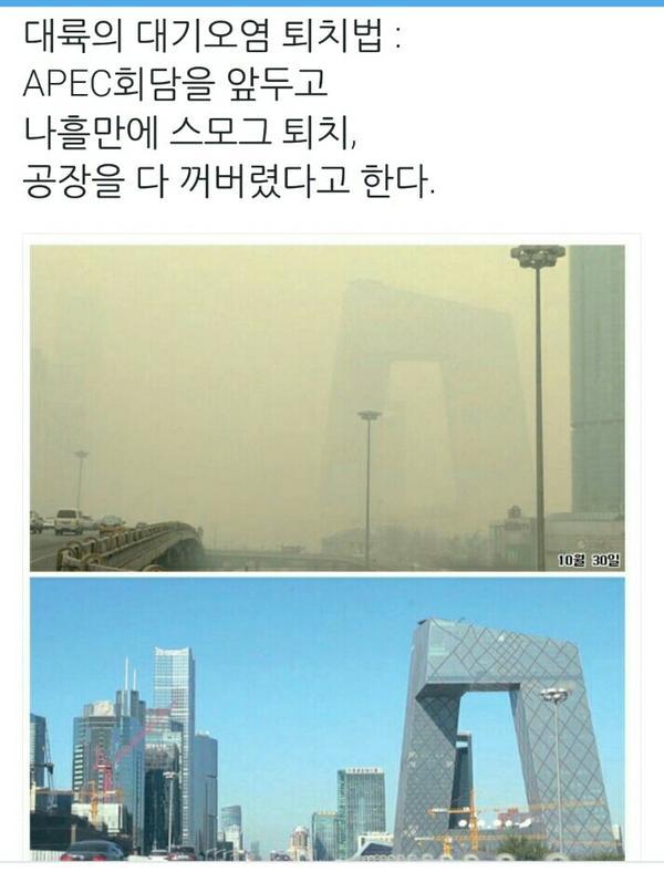 대륙의 대기오염 정화 방법.jpg | 인스티즈