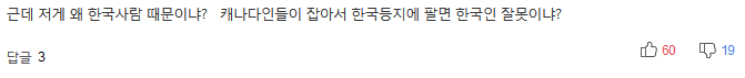 한국의 보신문화·비뚤어진 교육열이 캐나다 물범을 죽인다 | 인스티즈