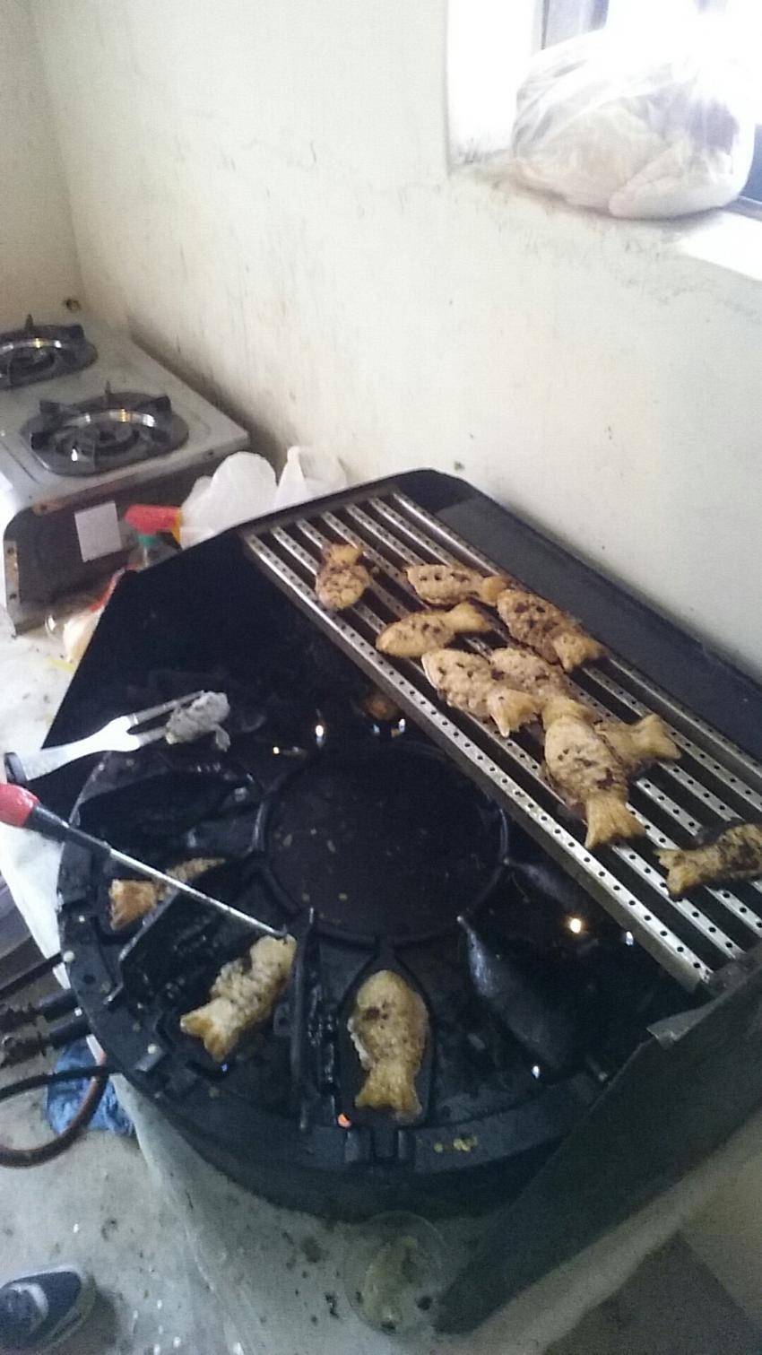 시골에서 고전게임 즐기는 디씨인ㅋㅋㅋㅋ.jpg | 인스티즈