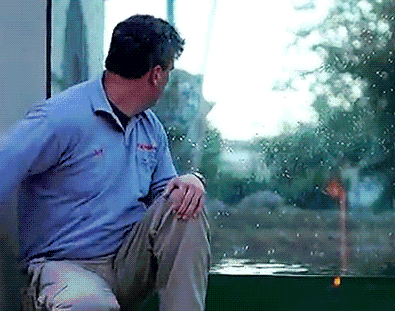 호랑이의 본성들.gif (놀람주의) | 인스티즈